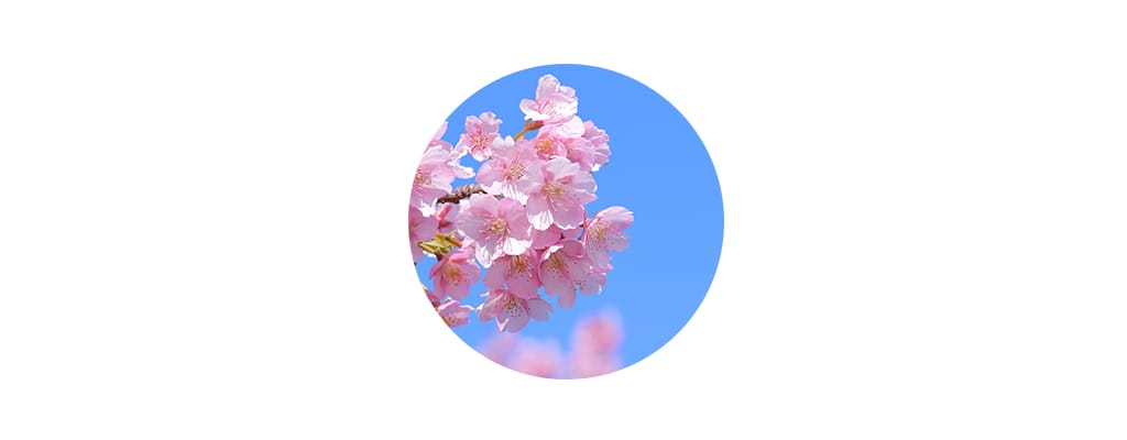 雨の日でも安心！ 卒入園・卒入学にぴったり！防水できれいめなセレモニーシューズ特集