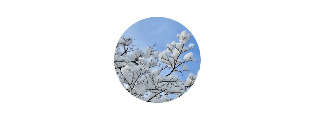 クリアランスセールで手に入れたい！ 寒さもおしゃれも妥協しない本命シューズ特集【2025-26年冬】