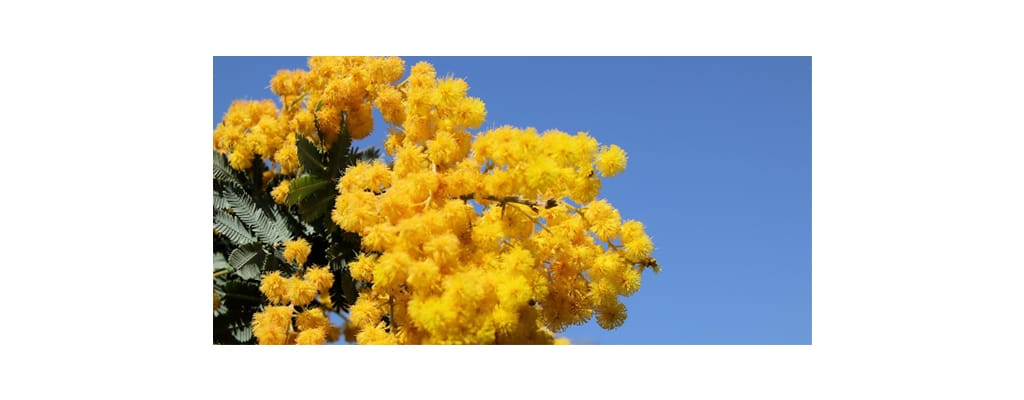 「サンダル未満、パンプス以上」がちょうどいい。フットネイルを気にせず楽しむ大人の抜け感シューズ