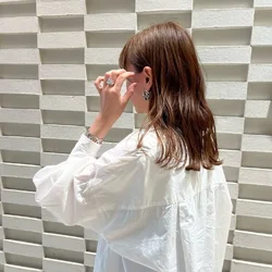 ロビン写真